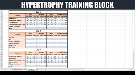 Good news You can use these hypertrophy templates during any dieting phase (to gain weight, to lose weight, or maintain weight). . Renaissance periodization hypertrophy template